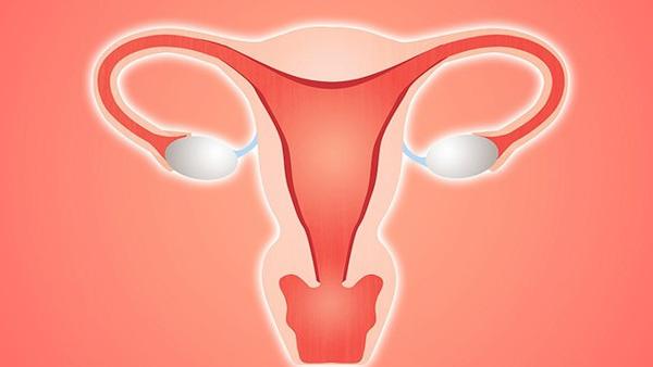 宫颈癌和子宫癌检查项目