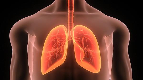 科学的饮食，预防肺癌