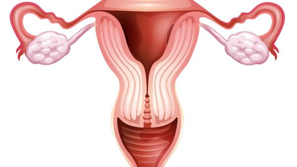 白领需警惕卵巢癌的早期症状
