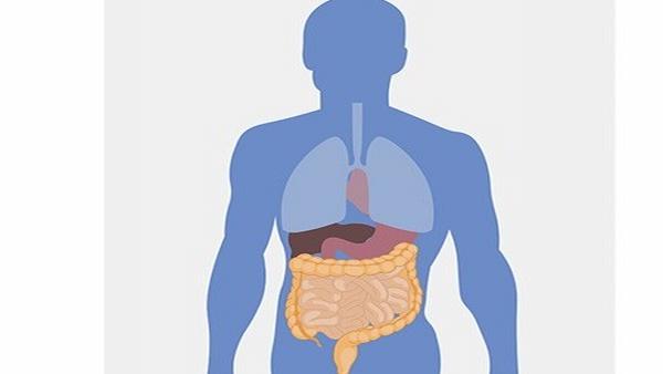 肠癌患者食疗3方