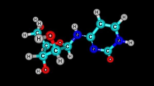 治疗子宫癌大概多少钱