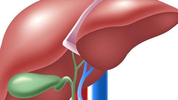 肝癌晚期如何肝功恢复