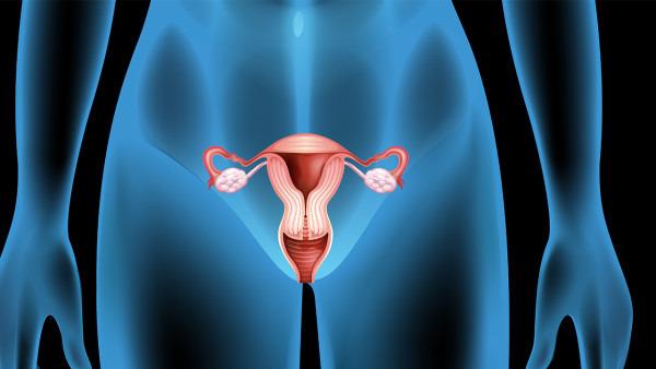 是否有特定的遗传变异可以预测宫颈癌的转移潜能和远处转移模式
