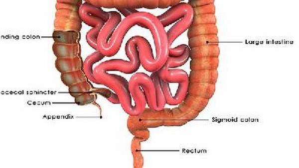 直肠癌为什么反复便秘腹泻