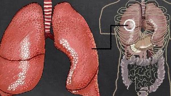 肝癌的病例分子靶点治疗方案选择有何依据