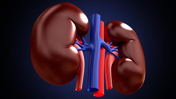 肾癌的8个原因是什么呢