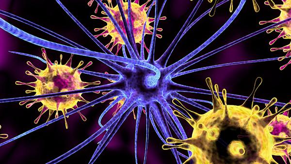 甲状腺癌的遗传变异是否会影响肿瘤的细胞黏附和迁移能力