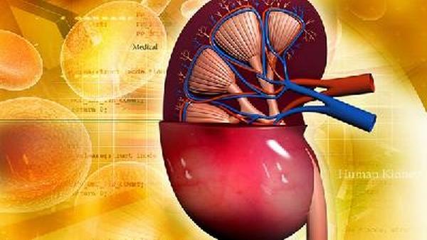 如何预防肾癌的保养
