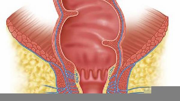 子宫癌怎么检查hpv