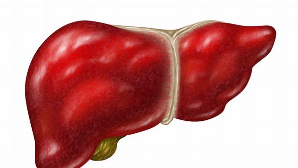 什么中药能够缓解肝癌腹水