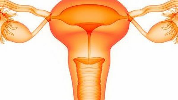孕期5月发现卵巢癌怎么办