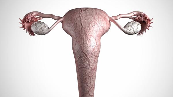 卵巢癌术后有什么危害