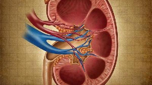 肾癌肿痛是怎么回事