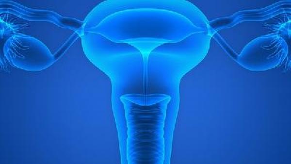 怎么预防或者检查卵巢癌