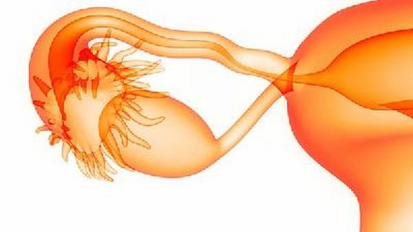 如何预防卵巢癌转移到肠道
