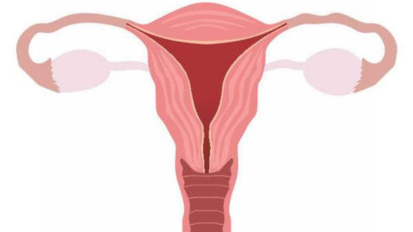 卵巢癌晚期发生的原因是什么