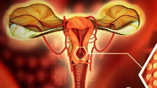怀孕有卵巢癌怎么办