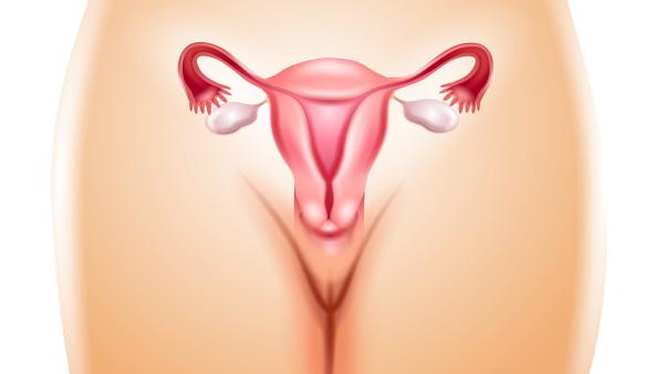 卵巢癌hrd阴性多久复发