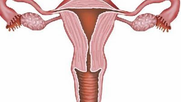 妇科卵巢癌怎么看