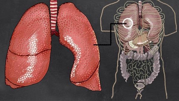 为什么肺癌早期会传染