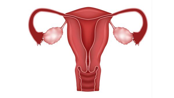 西北妇幼卵巢癌治愈率多少