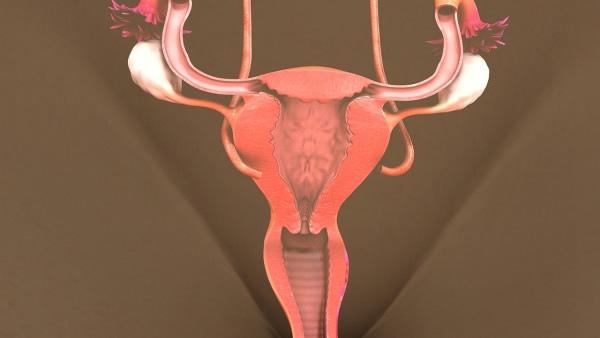 卵巢癌过敏是什么原因