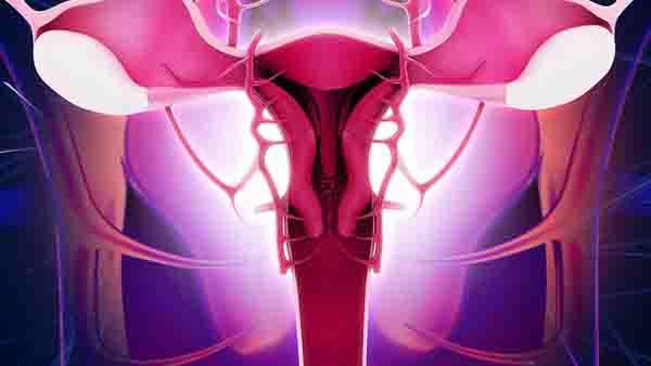 卵巢癌属于什么手术史