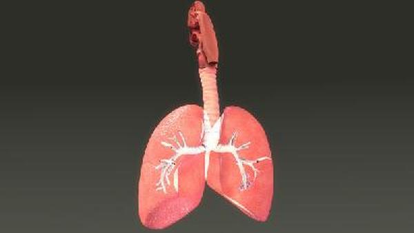 肺癌基因要多久
