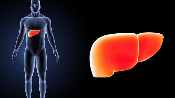 怎么防止脂肪肝肝癌复发