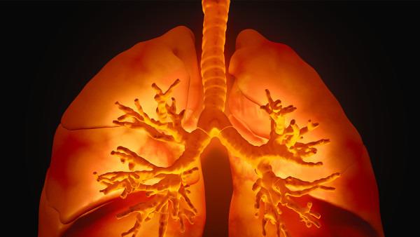 肺癌12基因是哪些