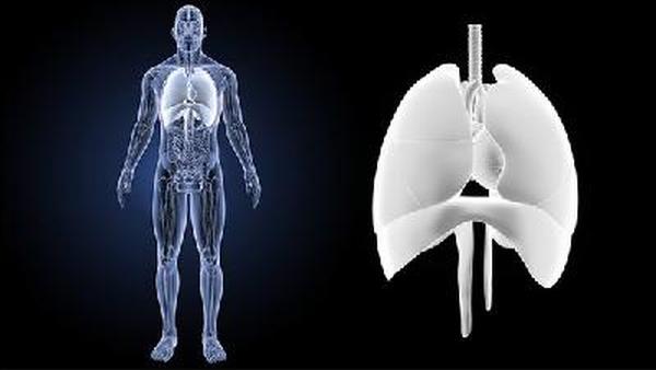 肺癌后背疼是什么原因