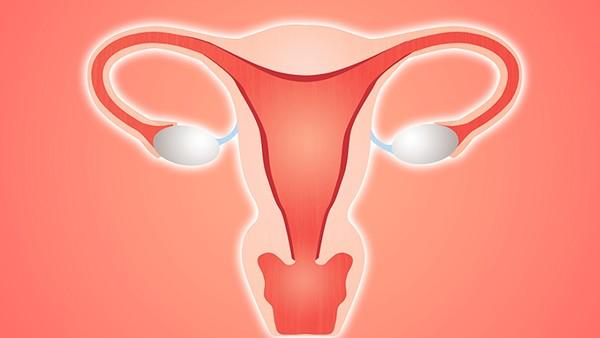 宫颈癌分期影象范围有哪些