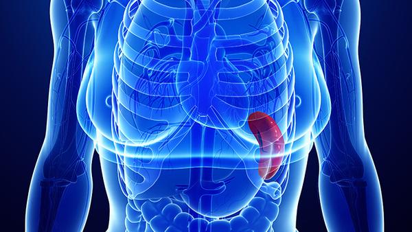 胰腺癌晚期质子治疗效果如何