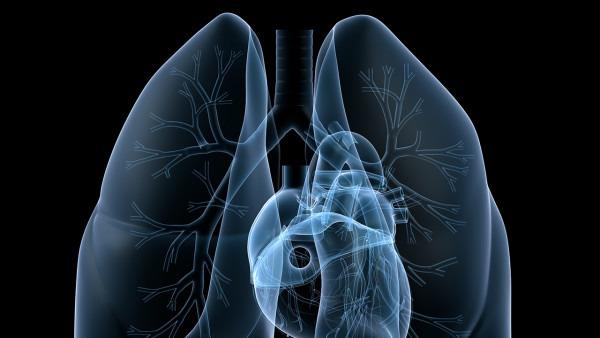 怎么样查出是不是肺癌呢