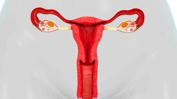早期卵巢癌化疗多久备孕