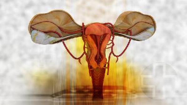 卵巢癌什么药能够控制