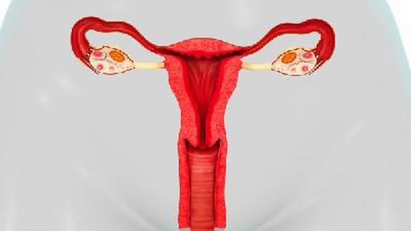 卵巢癌广谱药有哪些种类