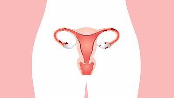 卵巢癌月经会变少多少